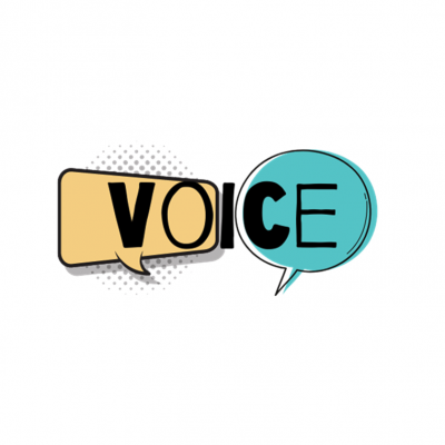 Nieuwsbrief project VOICE